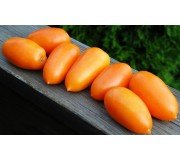Plum & Processing Tomatoes