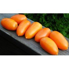 Plum Tomato Seeds Pineapple Cream 30 Seeds