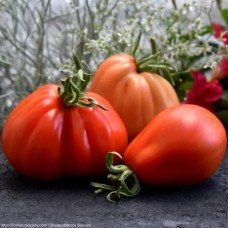 Plum tomato seeds Pear from Abruzzo 