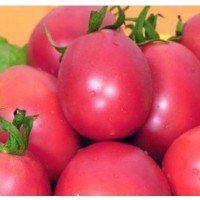 Plum tomato seeds Nastenka 30 seeds