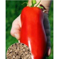 Plum Tomato Seeds Pepper Giant 15 Seeds