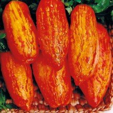 Plum tomato seeds Striped pepper 30 seeds