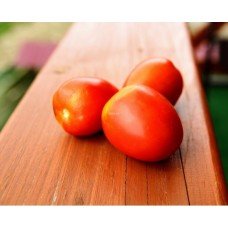 Plum tomato seeds Slivka Java 30 seeds