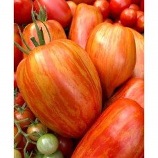 Plum tomato seeds Striped plum 30 seeds