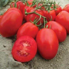 Plum tomato seeds Tarasenko 3 30 seeds