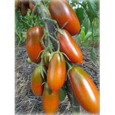 Plum tomato seeds Black Icicle 15 seeds
