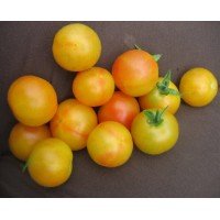Small-fruited cherry tomato seeds Magic Marizol 15 seeds