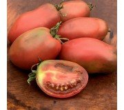 Tomato Professional Packs