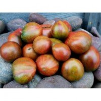 Tomato seeds Dwarf Crimson Sunset 50 seeds