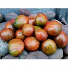 Tomato seeds Dwarf Crimson Sunset 50 seeds