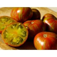 Tomato seeds Dwarf Delta Diver 50 seeds