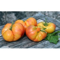 Dwarf Caitydid Tomato Seeds 50 Seeds
