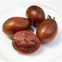 Tomato seeds Dwarf Audrey's Love 50 seeds