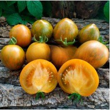 Tomato seeds Dwarf Babylon Glow 50 seeds