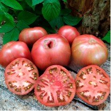 Tomato seeds Dwarf Fred's Tie Dye 50 seeds