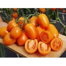 Tomato seeds Cream Orange F1 50 seeds