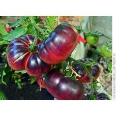 Medium-fruited tomato seeds Blue Beauty 15 seeds