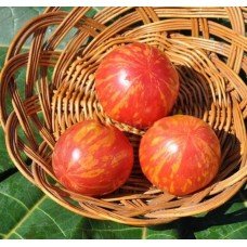 Seeds of medium-fruited tomato Vernissage pink 30 seeds
