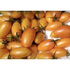 Medium-fruited tomato seeds Tomato seeds Kotya F1 10 seeds