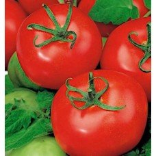 Seeds of medium-fruited tomato Sabala 15 seeds