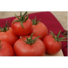 Seeds of medium-fruited tomato Super-yielding 30 seeds