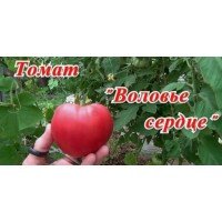 Heart-shaped tomato seeds Bull's heart (elite) 30 seeds