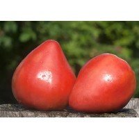 Heart-shaped tomato seeds Maiden's breast 15 seeds