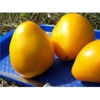 Heart-shaped tomato seeds Golden King 30 seeds
