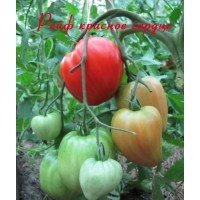 Heart-shaped tomato seeds Rife red heart 30 seeds